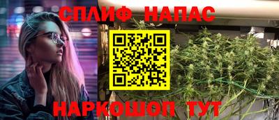 прущие грибы Гусь-Хрустальный