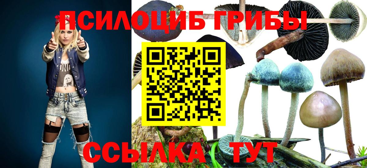 Галлюциногенные грибы прущие грибы  Вход с VPN  Галлюциногенные грибы Psilocybine cubensis  Нижневартовск 